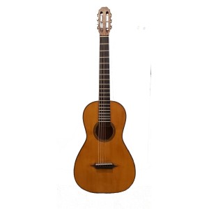 Guitar accesories