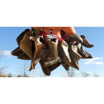 Goat hoof ratlle pair