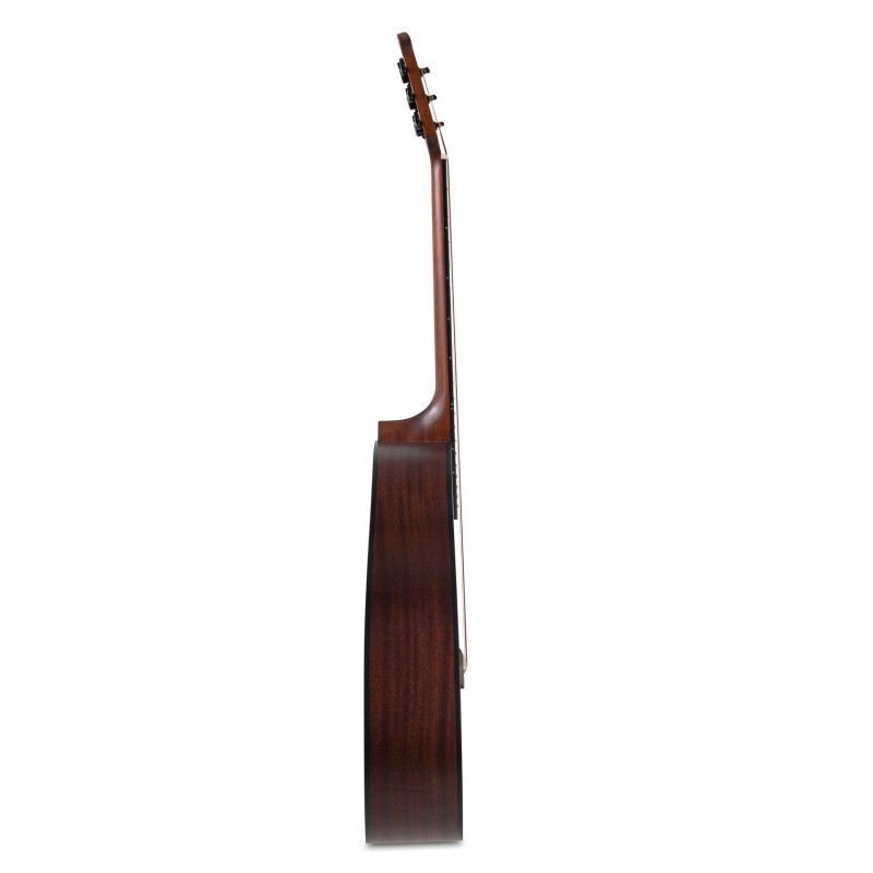 Applause AAD96-M Ακουστική κιθάρα Wood Classics