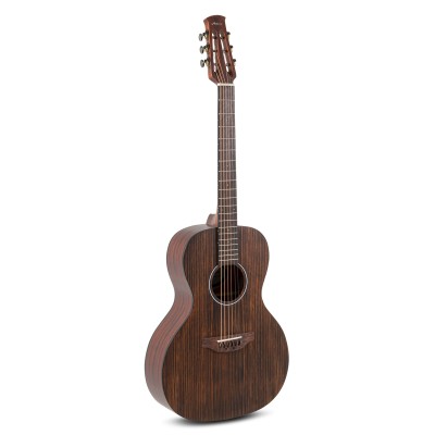 Applause AAP-96-AN OOO Ακουστική κιθάρα Wood Classics Vintage