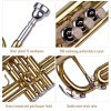 FolkMan Bb Trumpet