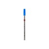 GEWA Flageolet C