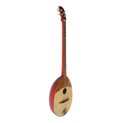 2 string Tambura
