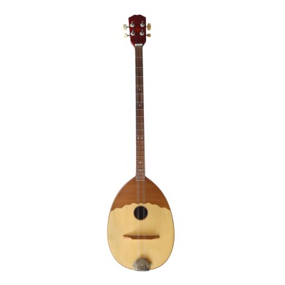 2 string Tambura