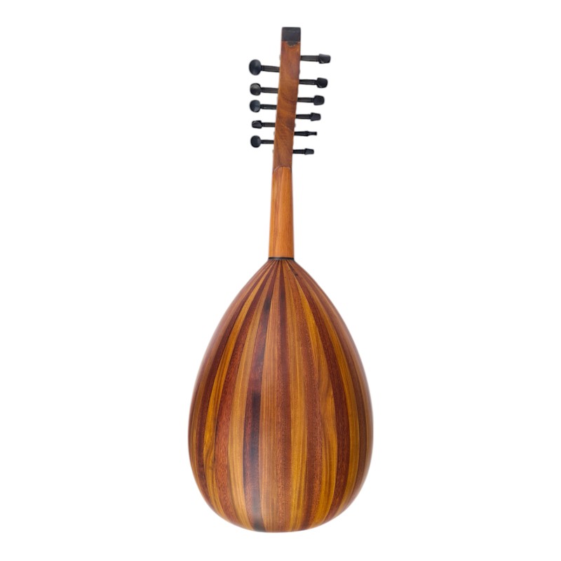 Oud Makam advanced model