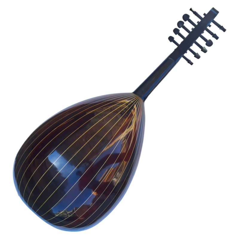 Arabic oud, standard model