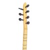 Saz Aydin model
