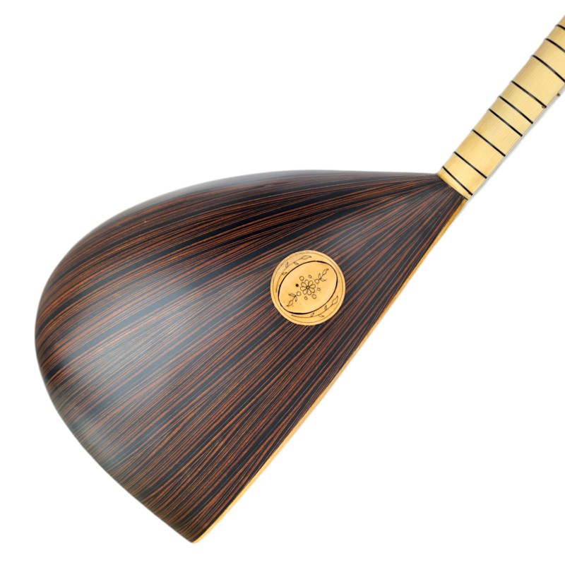 Saz Aydin model