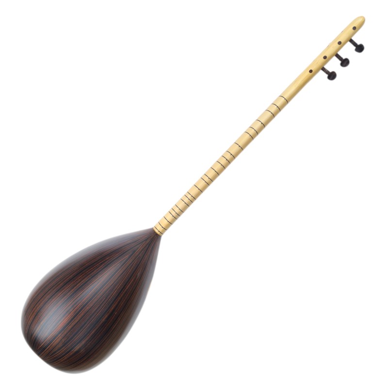 Saz Aydin model