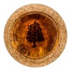 Melos Rosin για Πολίτικη λύρα