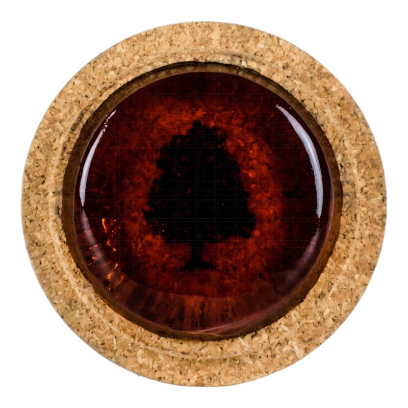 Melos Rosin για Ποντιακή λύρα