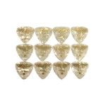 PRODIGY Medium White Pearl picks (set of 12)