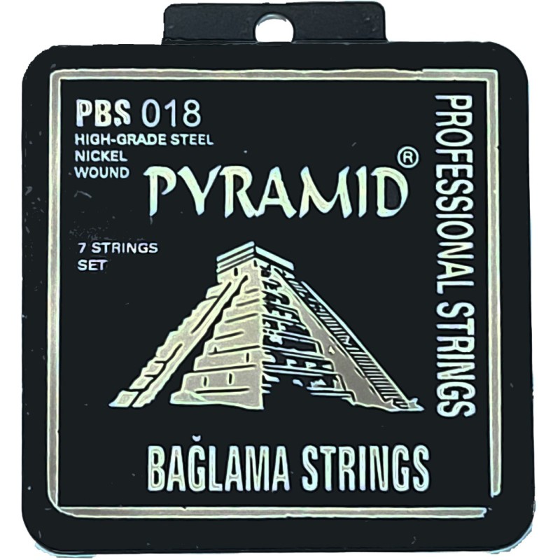 Pyramid Χορδές για Σάζι - Ταμπουρά 018
