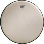 Remo Ambassador Renaissance 12"