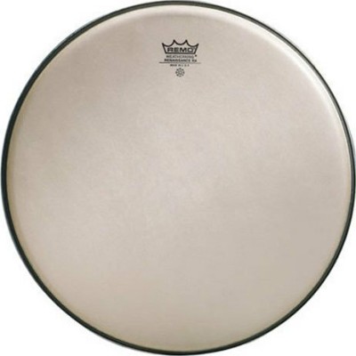 Remo Ambassador Renaissance 12"