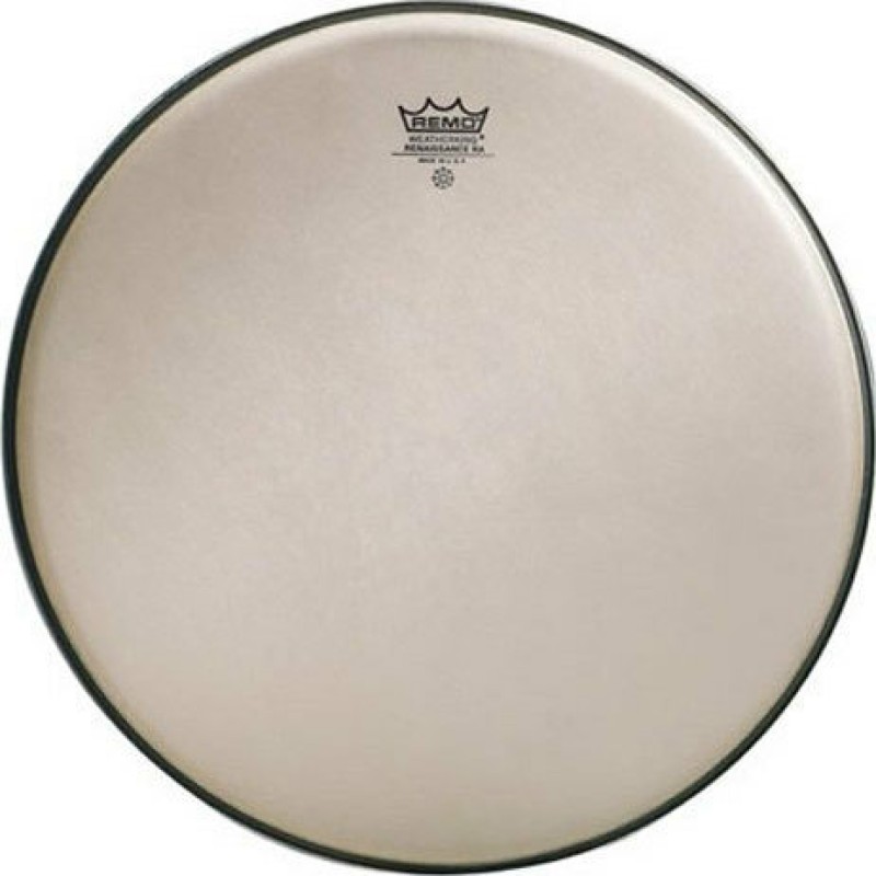 Remo Ambassador Renaissance 12