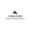 Manuel Rodríguez's
