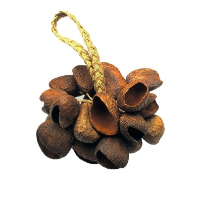 Toca T-SS Seed Shell Shaker