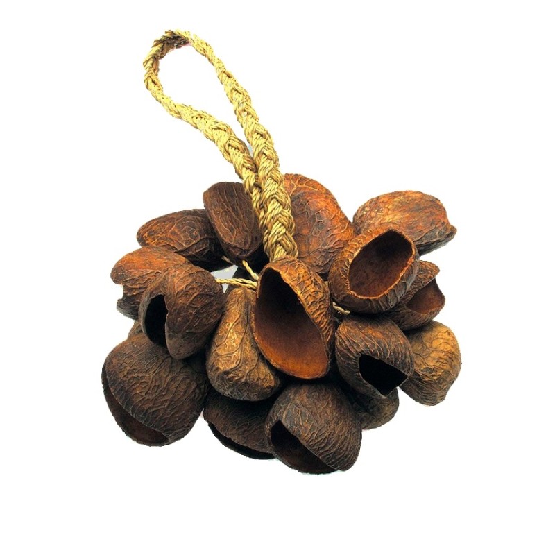Toca T-SS Seed Shell Shaker Toca T-SS Seed Shell Shaker