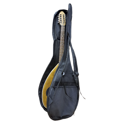 Laouto Gigbag