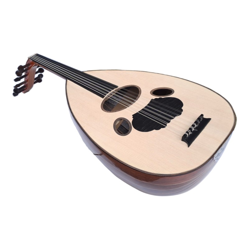 Arabic oud, standard model