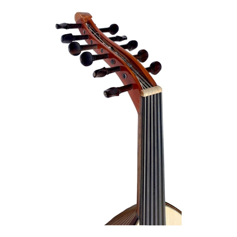 Arabic oud, standard model