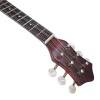 Baglama MP-18