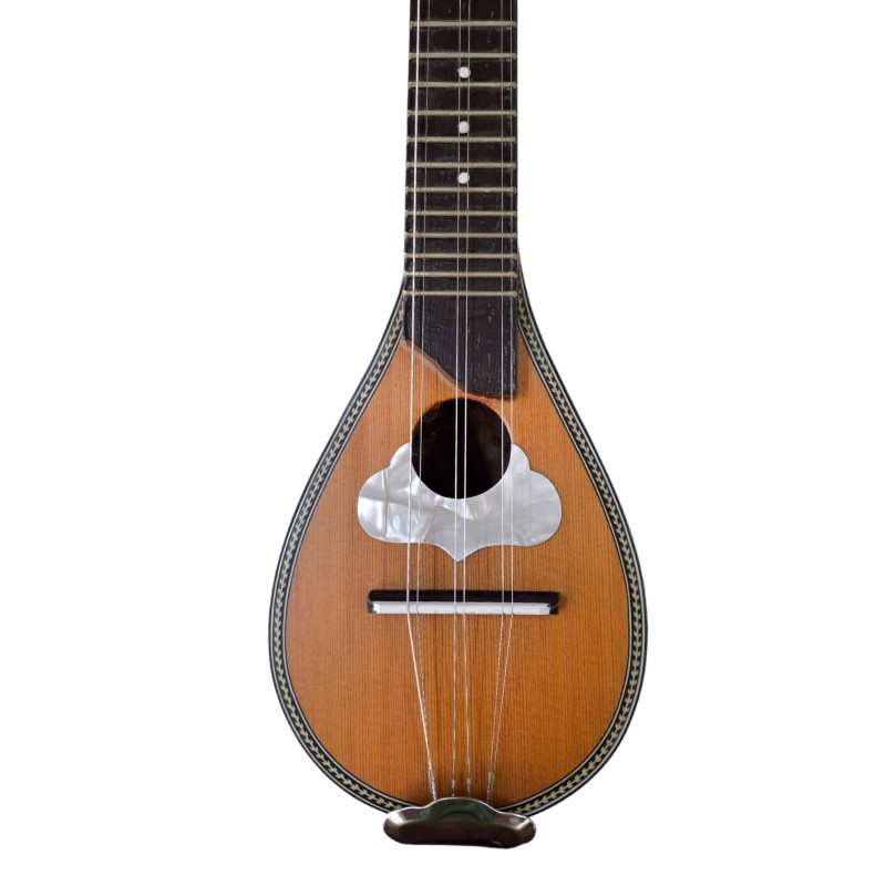 Baglama MP-19