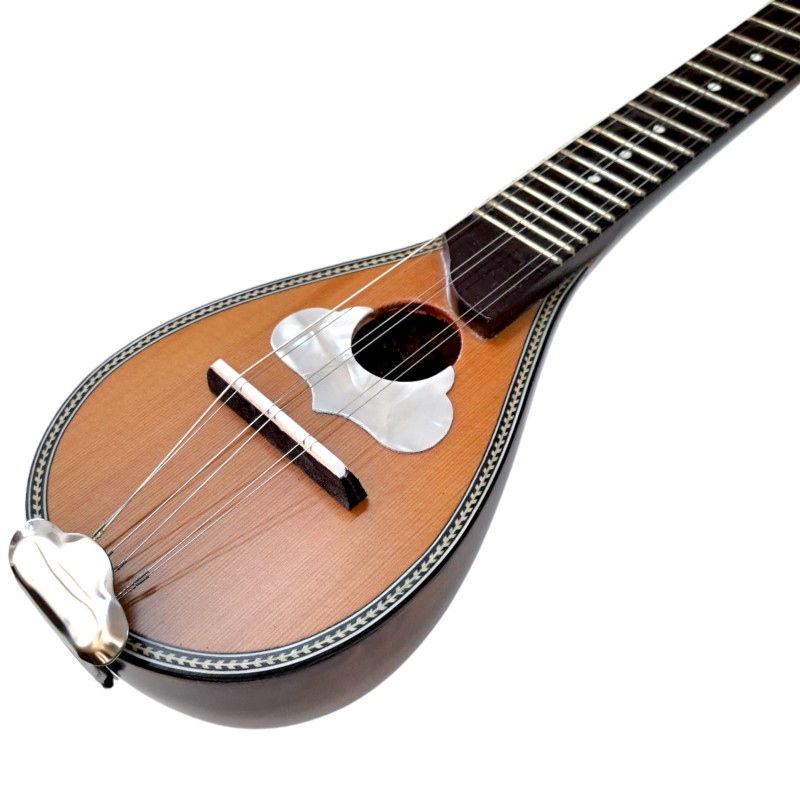 Baglama MP-19