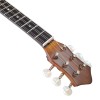 Baglama MP-19