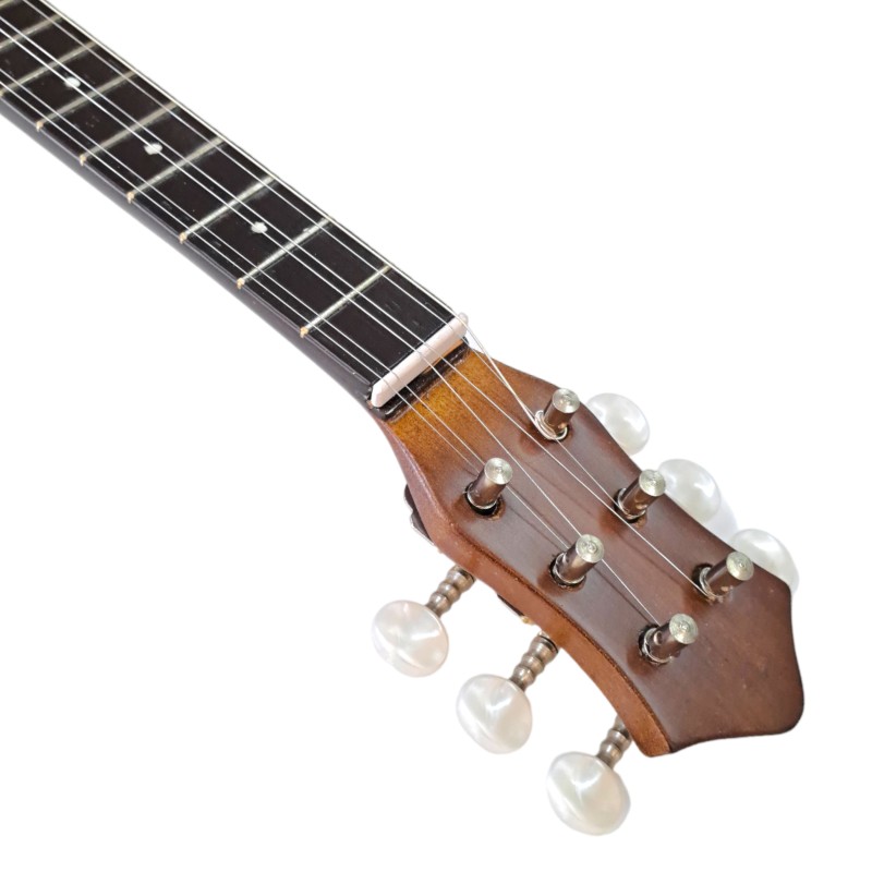 Baglama MP-19