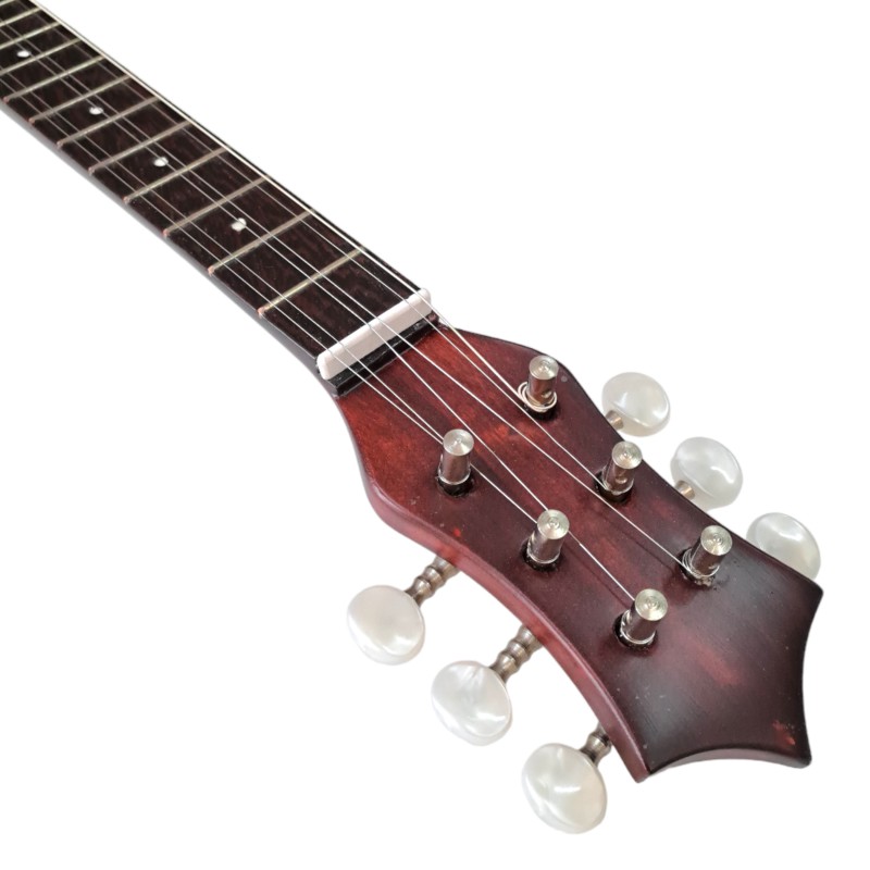 Baglama MP-9