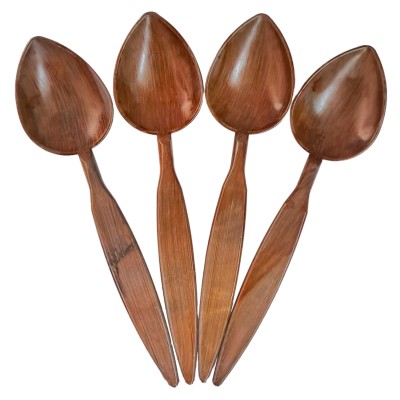 Plastic dance spoons