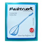 Masterwork Χορδές για Σάζι/Ταμπουρά 020mm 