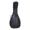 Oud bag standard capitone