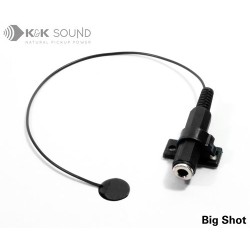 Transducers / Microphones