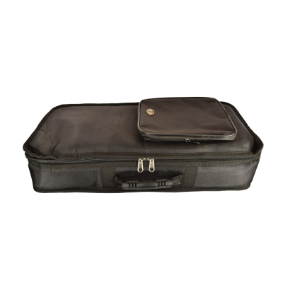 Gigbag for three lyras of Pontos