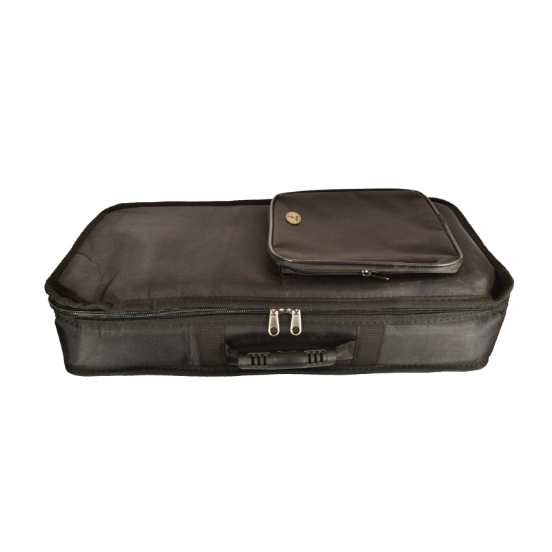 Gigbag for three lyras of Pontos