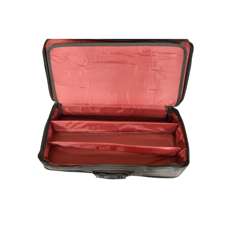 Gigbag for three lyras of Pontos